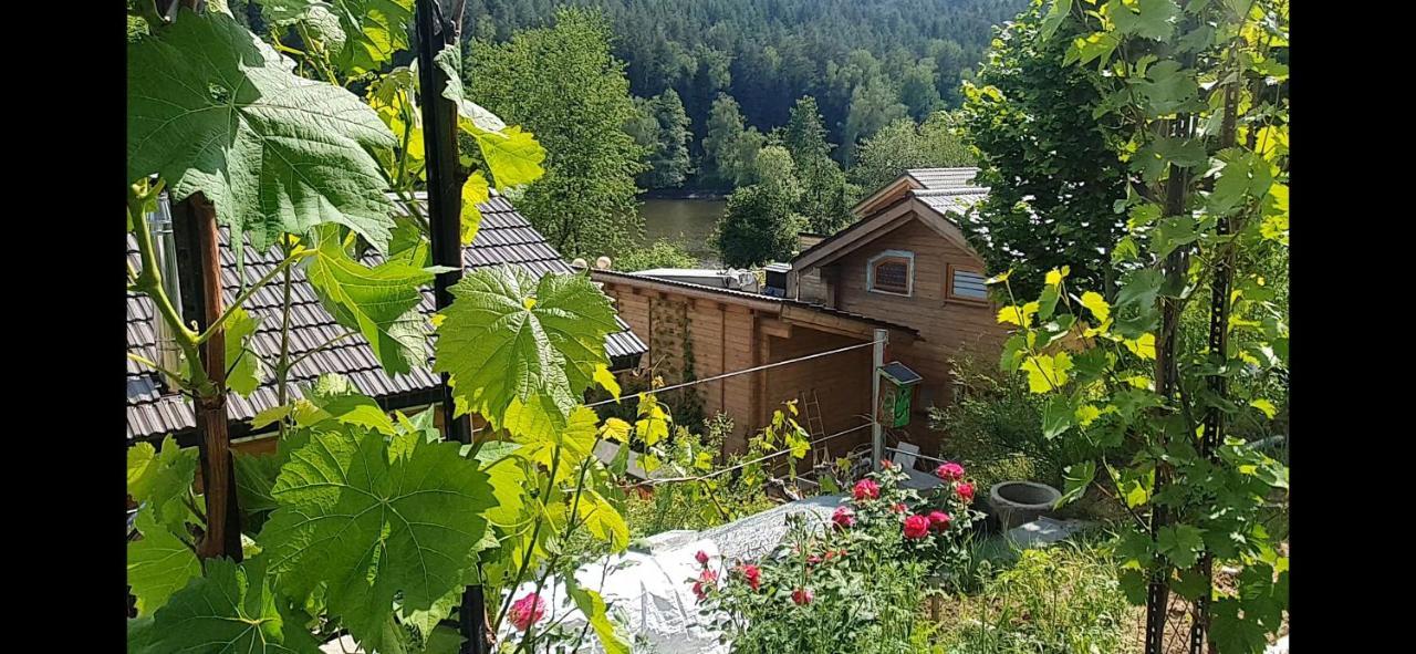 Holzhaus Am See Mit Panoramablick Trausnitz Exterior foto
